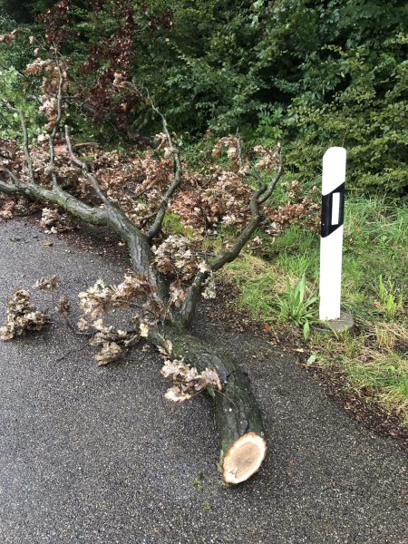 460046269_930850815750786_8462456007140307454_n